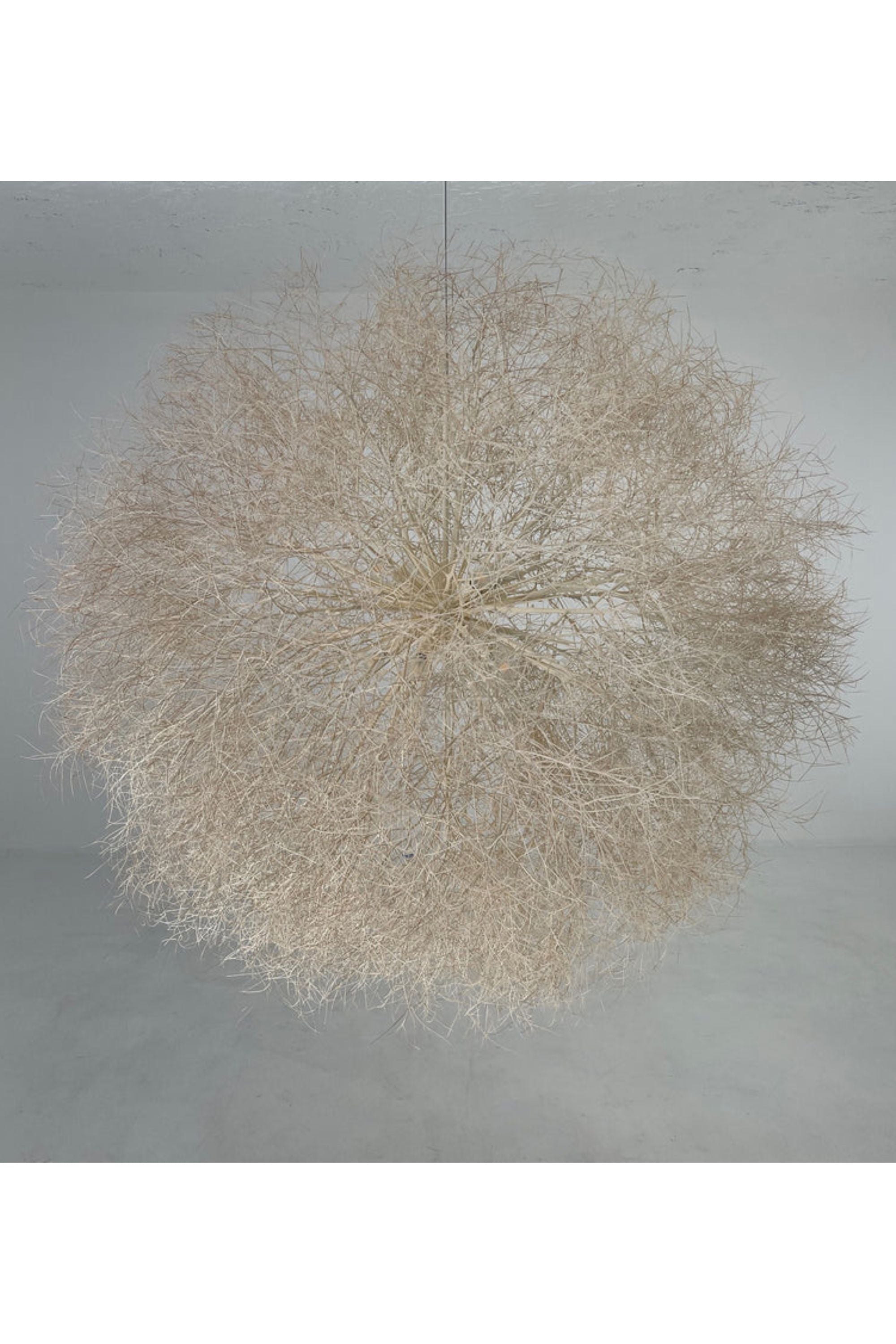Owen Mortensen Tumbleweed Pendant 8 bulb x District Loom
