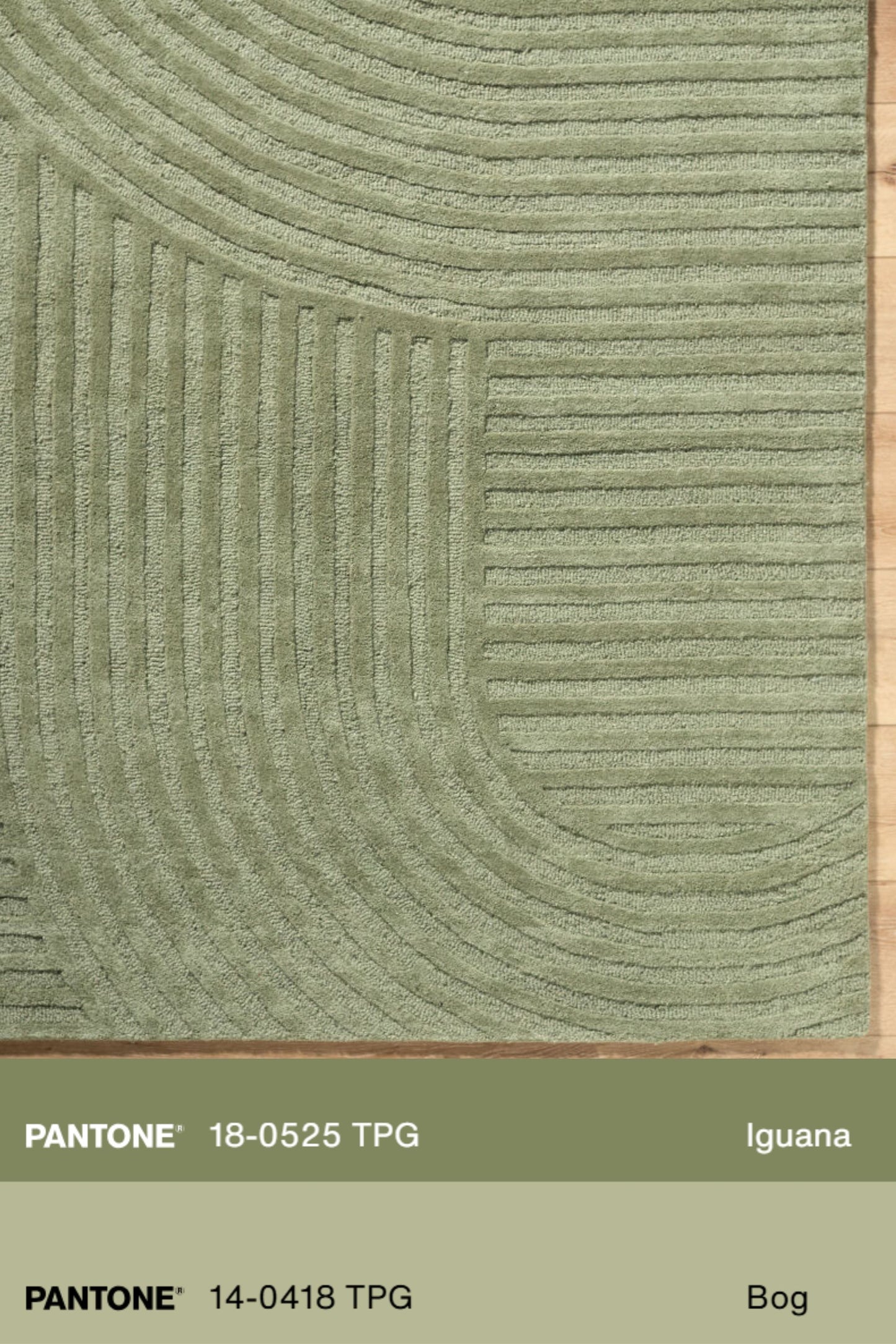 District Loom Modern hand knotted Rug Brook Sage