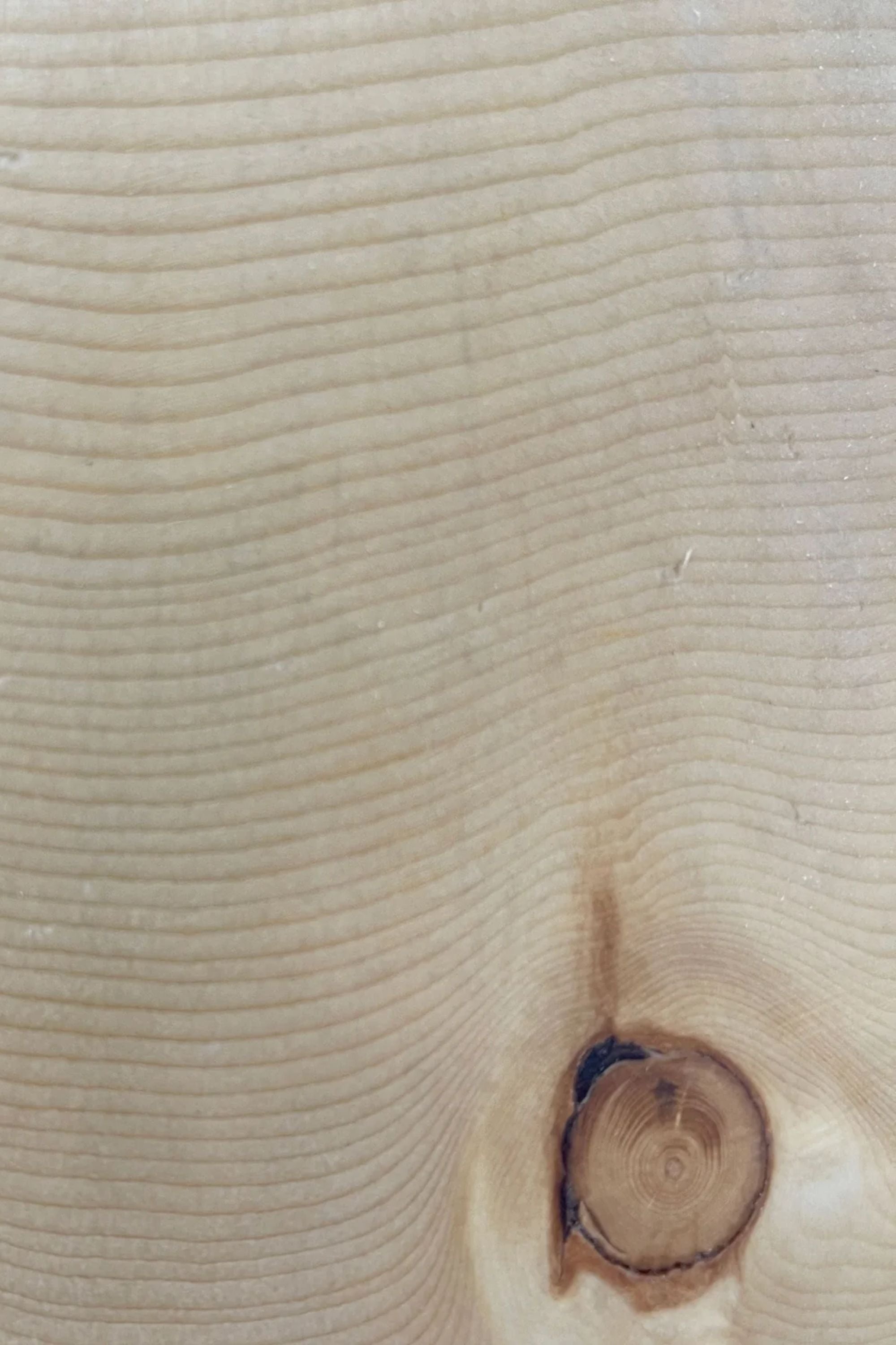 Timbr Pendant