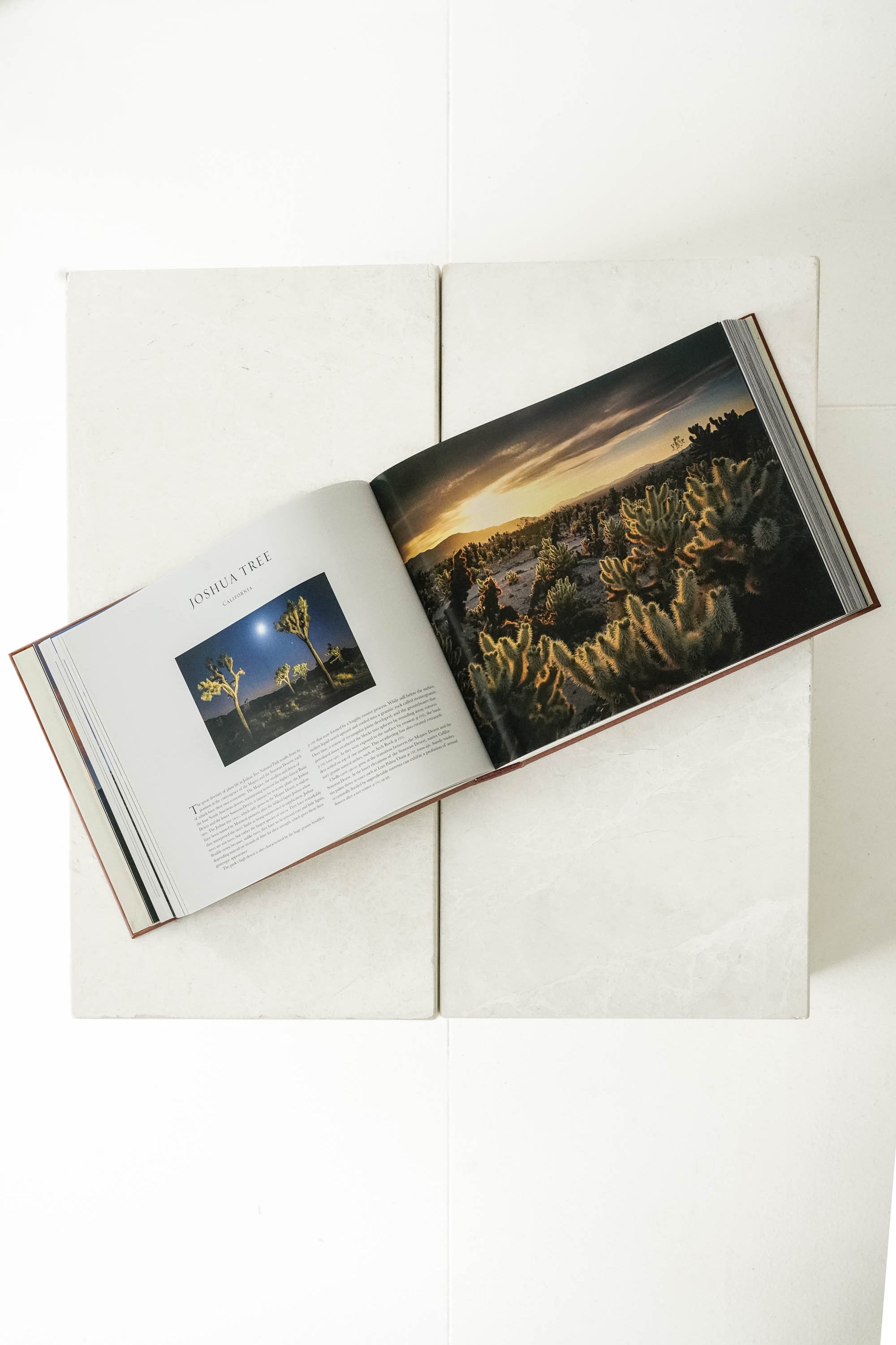 Treasured Lands | QT Luong