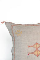 District Loom Pillow Cover No. 1127