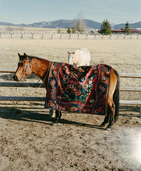 District Loom Vintage Bakhtiyari Scatter Rug Pricilla