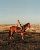 District Loom Vintage Shiraz Scatter Rug Lohman