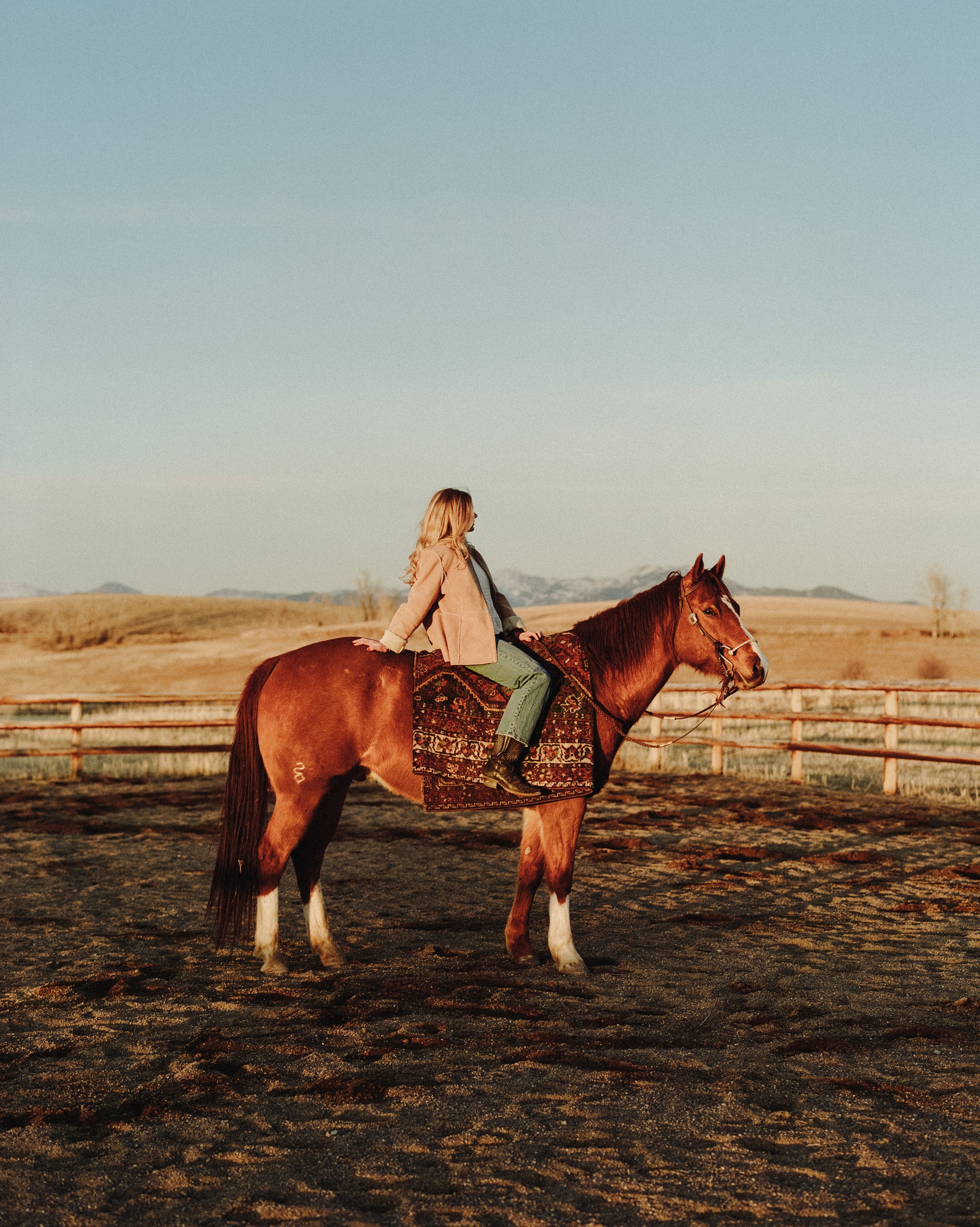 District Loom Vintage Shiraz Scatter Rug Lohman