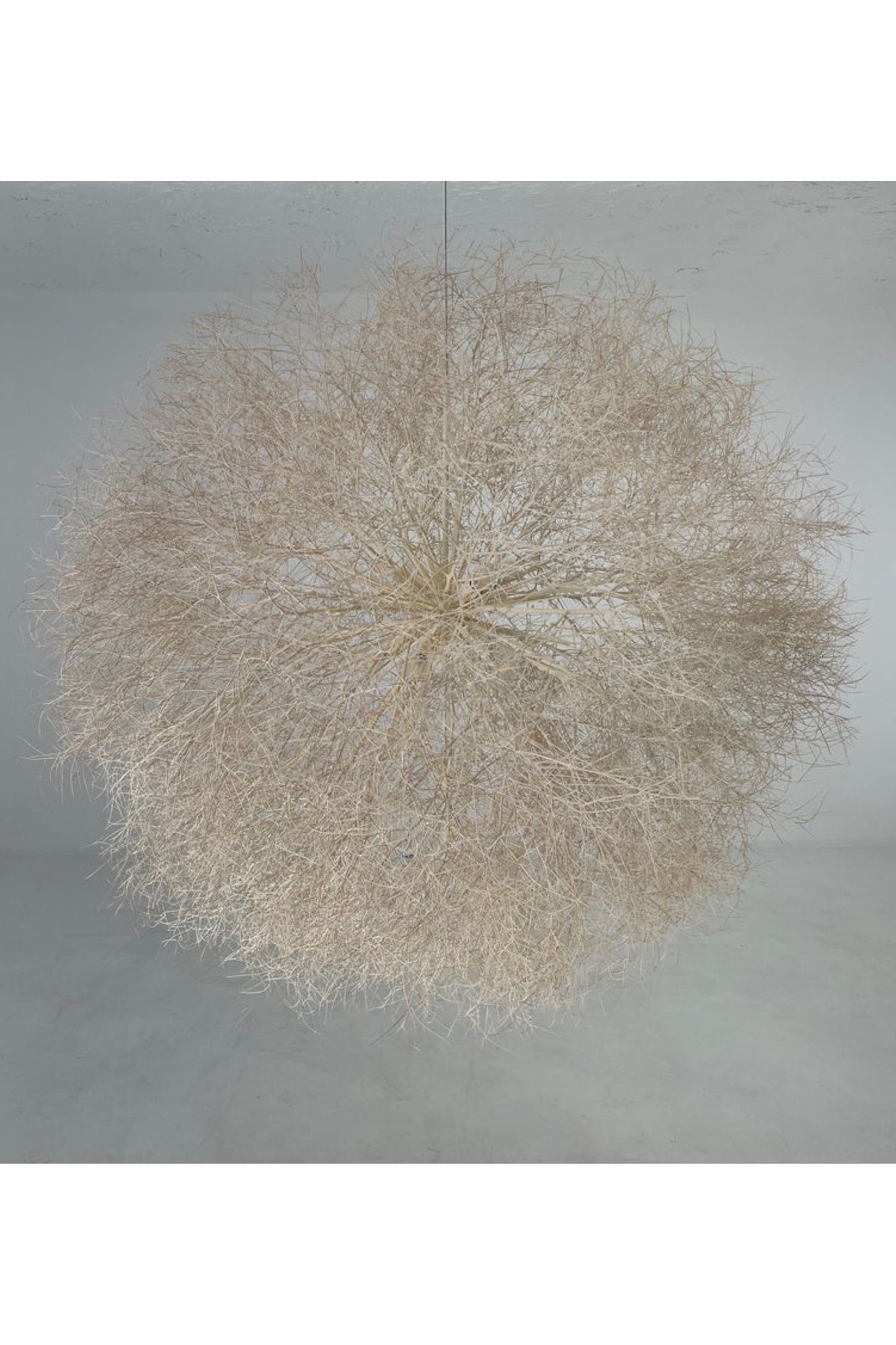 Owen Mortensen Tumbleweed Pendant 8 bulb x District Loom