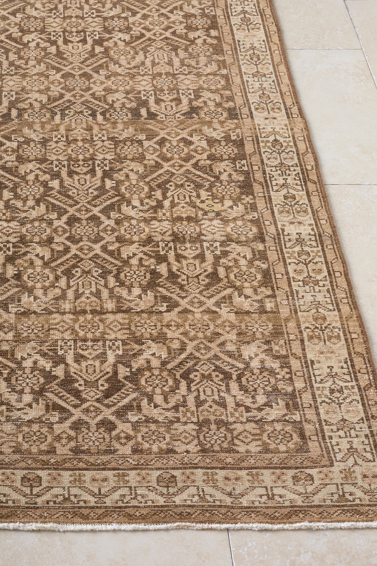 Aster-Vintage-Runner-Rug-District-Loom