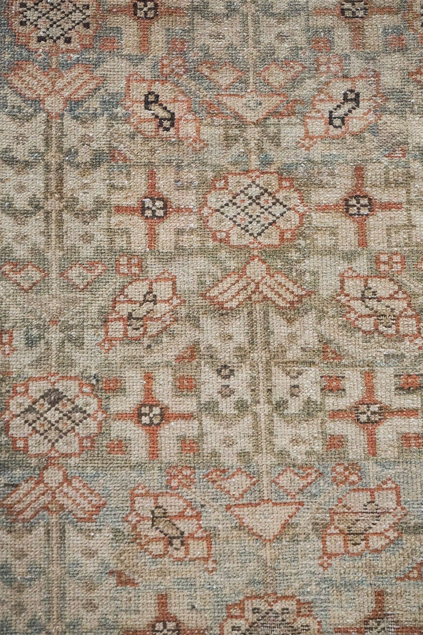 Roundup | 2'11 x 9'9