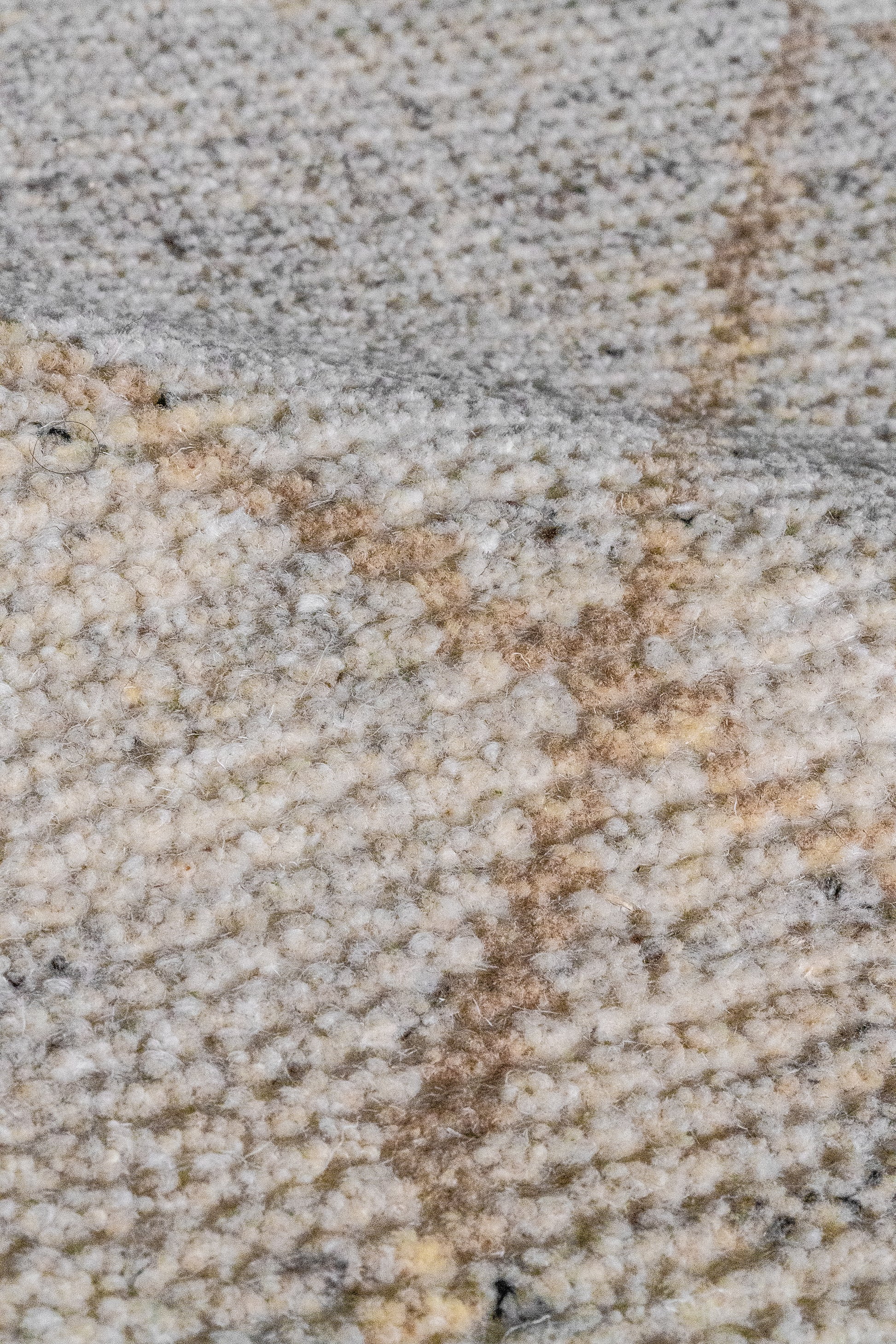 District-Loom-Custom-Rug-Studio-Sample-Canvas