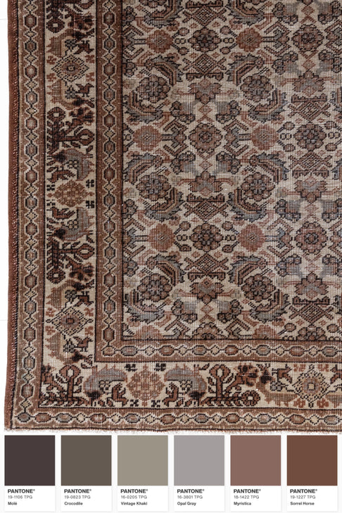 District-Loom-Vintage-Tabriz-Scatter-Rug-Niobe-Pantone