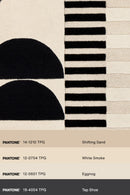 District Loom Modern hand tufted rug Brookland Charcoal & Cream