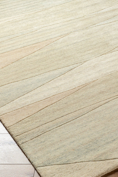 District Loom Modern hand tufted rug Forom Neutral