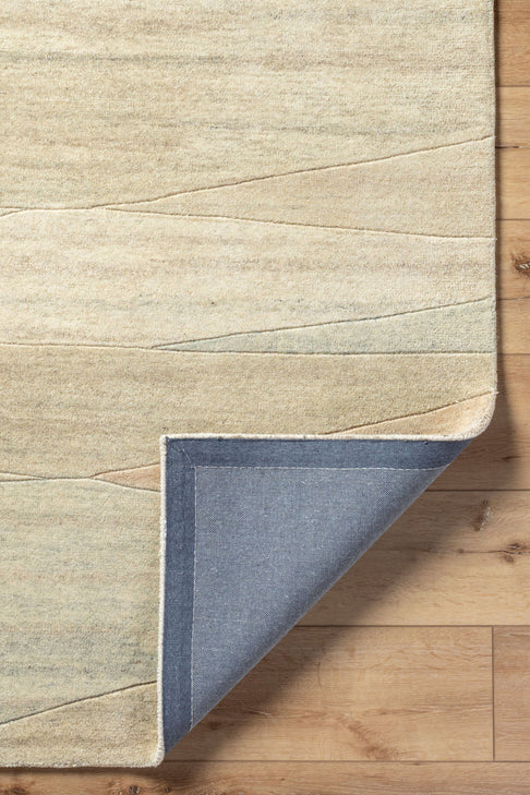 District Loom Modern hand tufted rug Forom Neutral