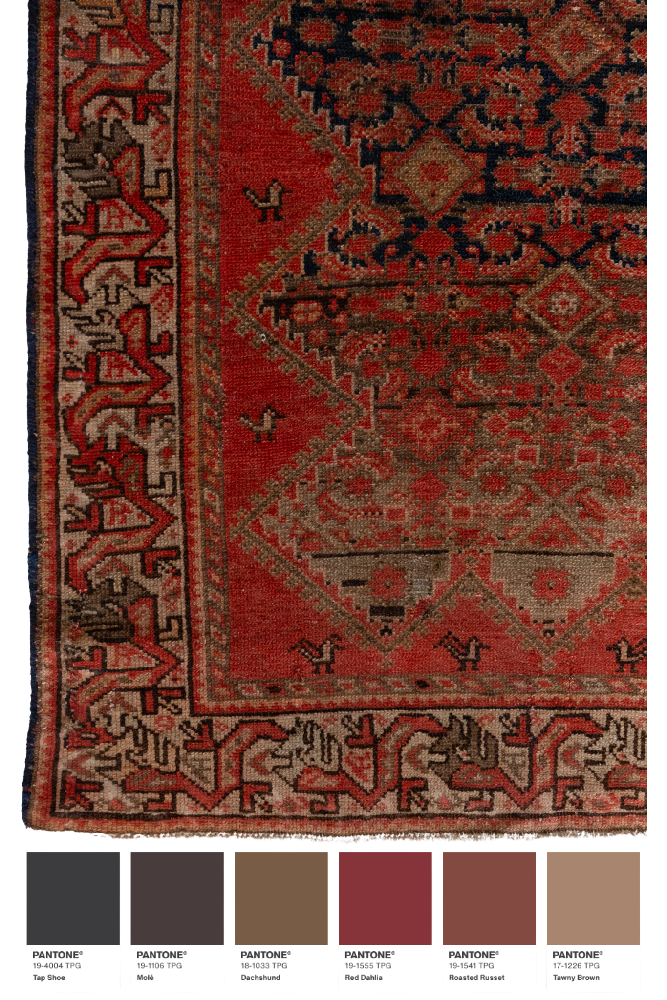 Kipp | 2'11 x 9'9