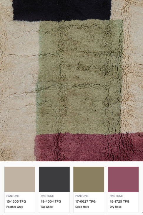 District Loom Modern Beni M'rirt Area Rug Albizia