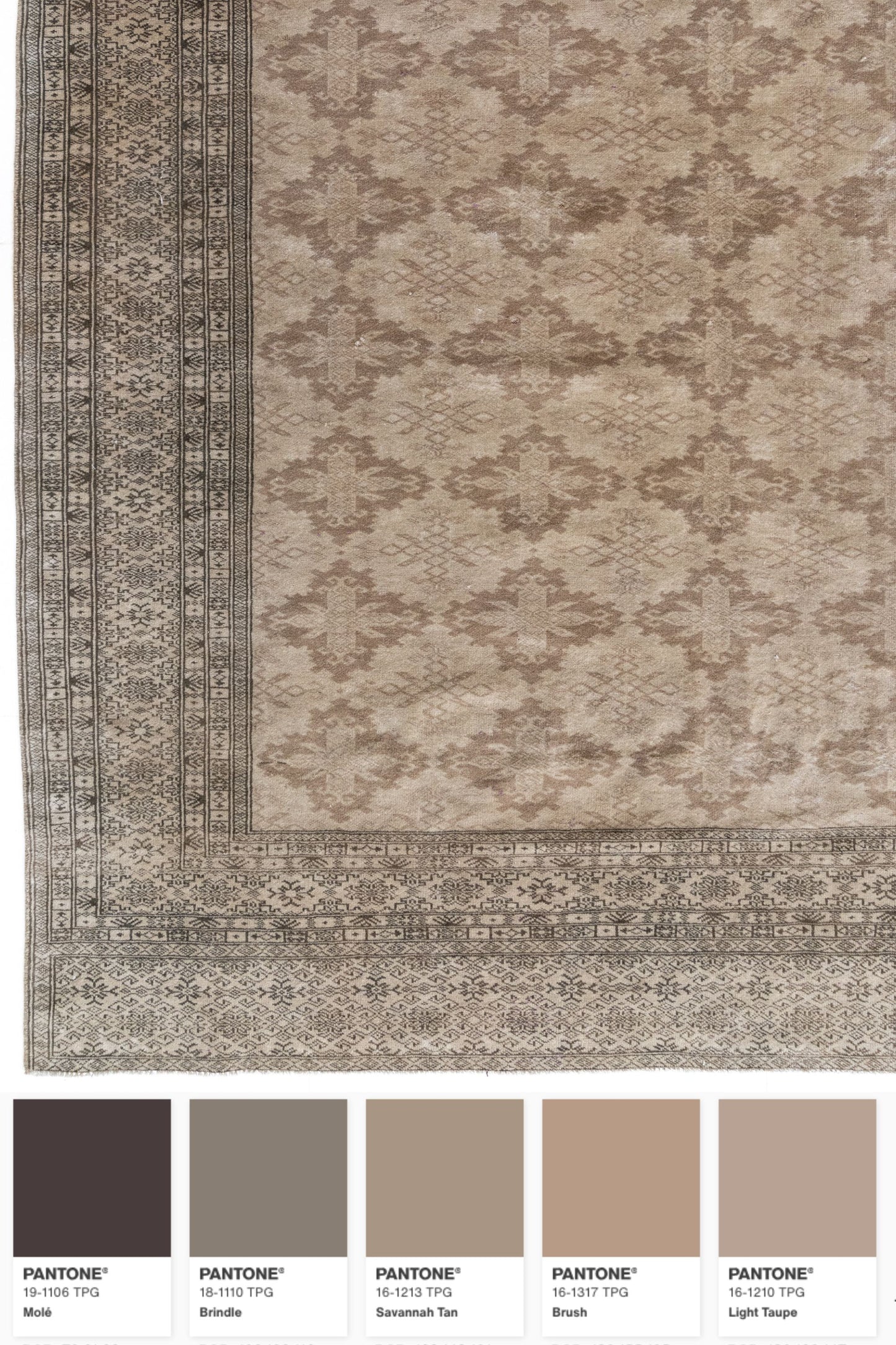 District Loom Vintage Beluch Area Rug Richland