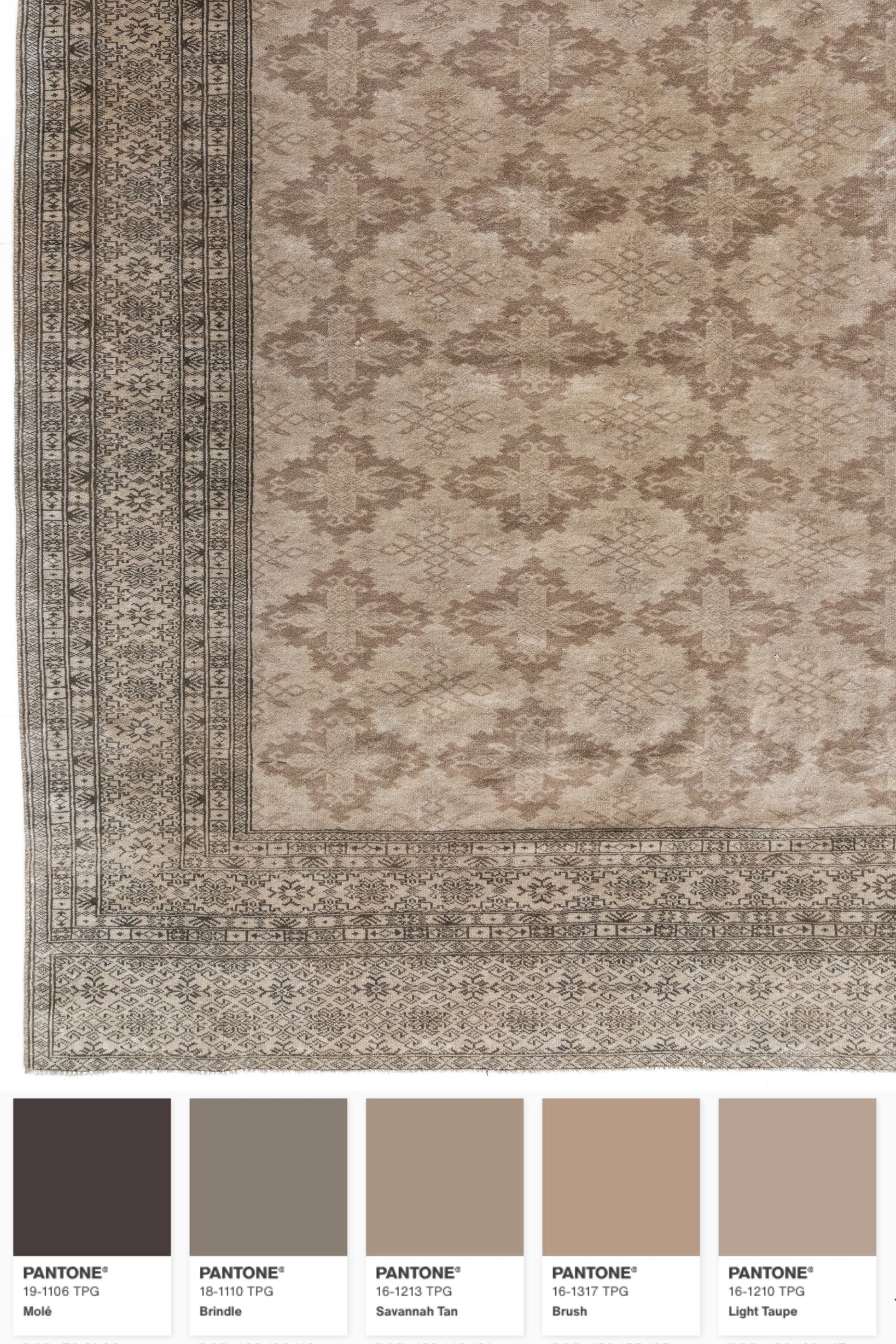 District Loom Vintage Beluch Area Rug Richland