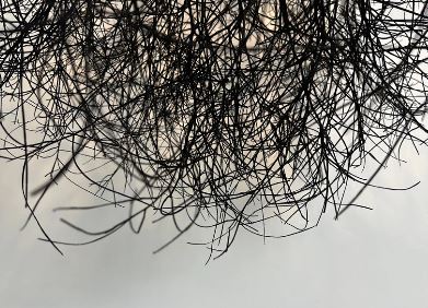 District Loom Lighting Tumbleweed Pendant- Black