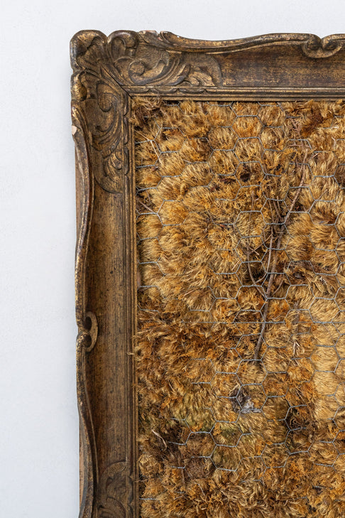 District Loom Vintage guilded frame with golden moss installation