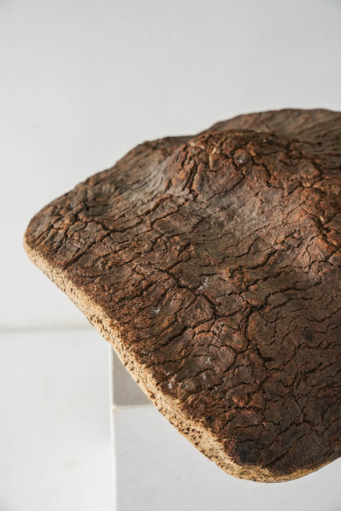 District Loom Vintage Petrified Bark Wood Bowl