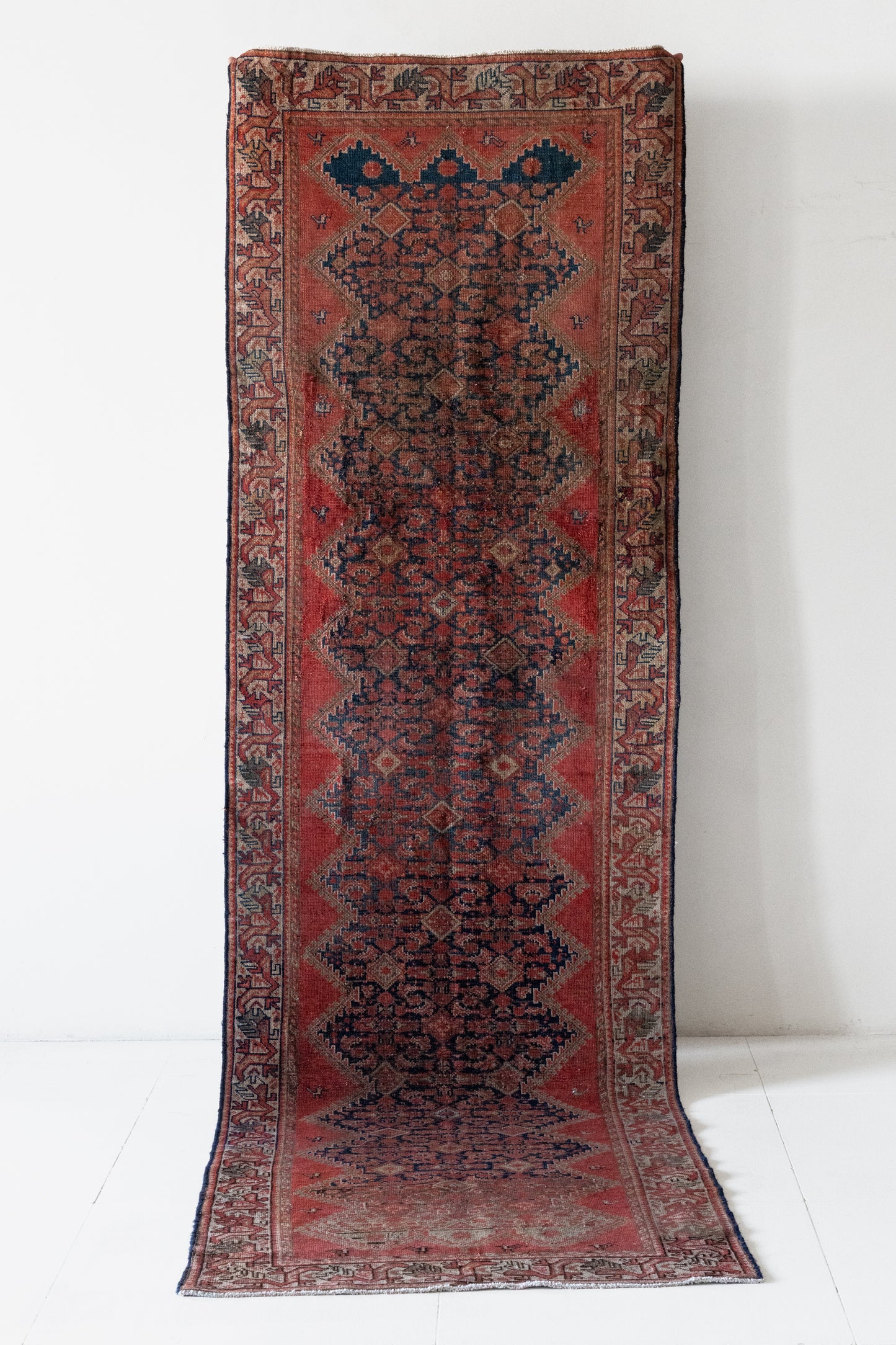 Kipp | 2'11 x 9'9