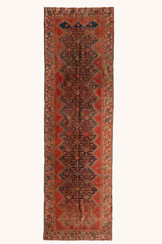 Kipp | 2'11 x 9'9