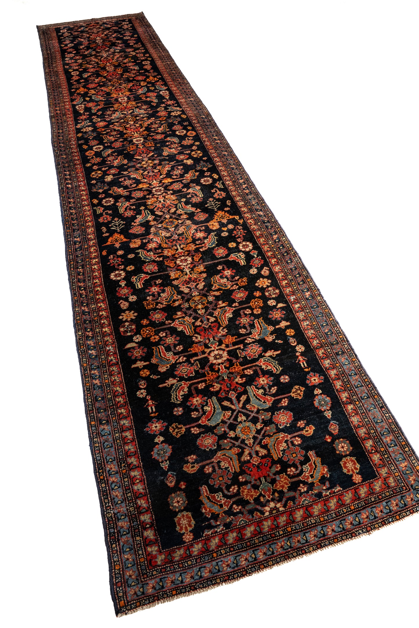 Priscilla | 3'5 x 16'