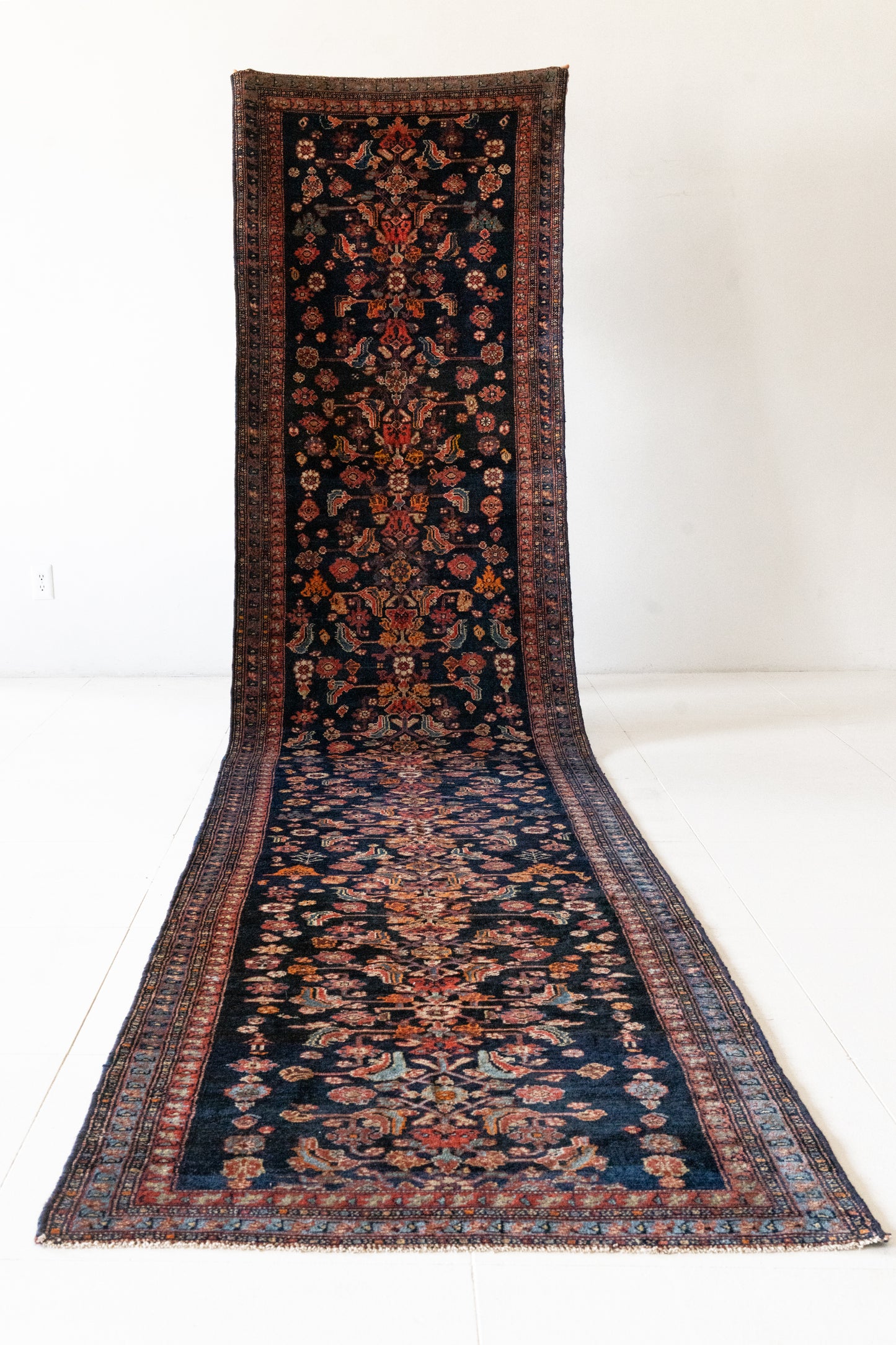 Priscilla | 3'5 x 16'