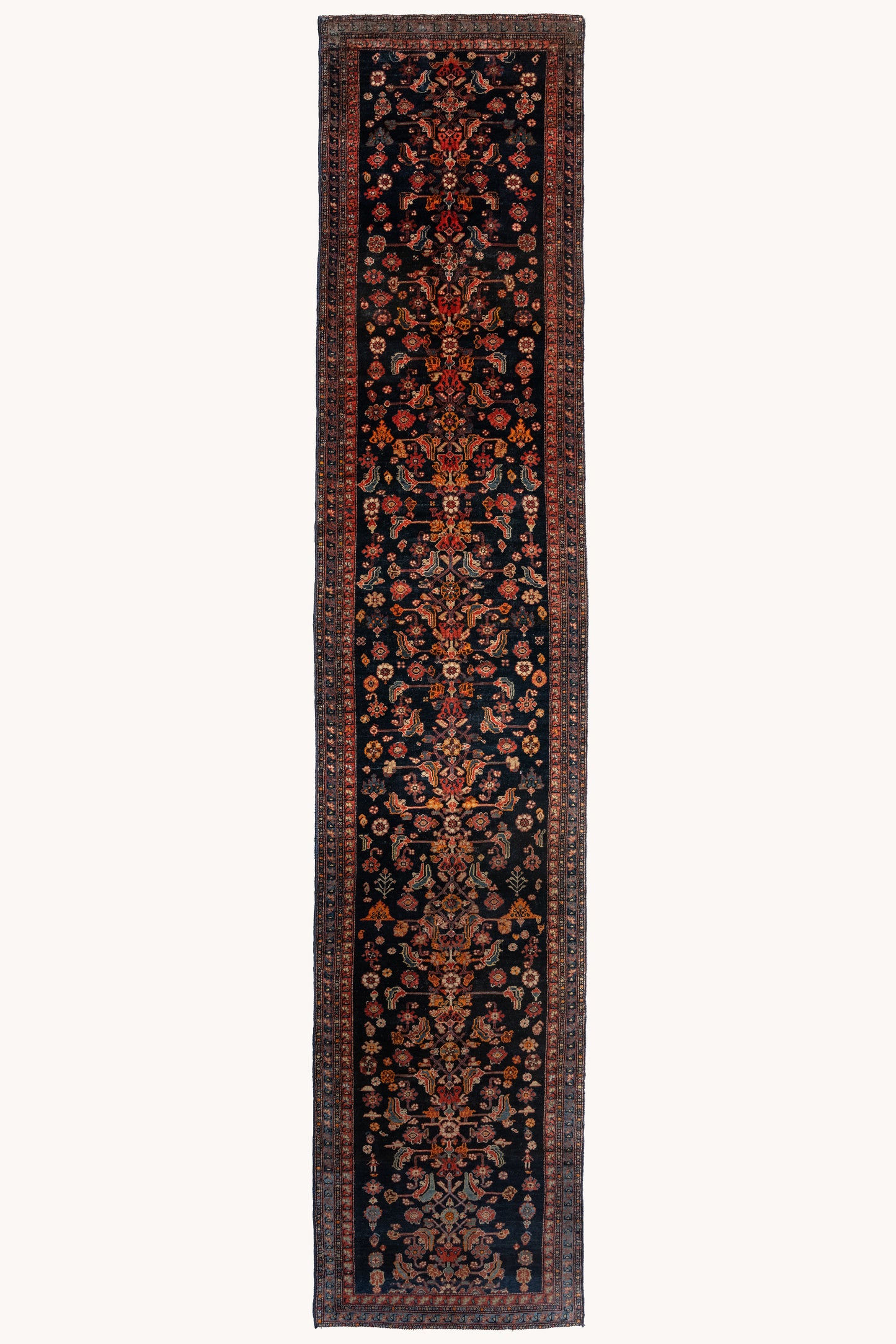 Priscilla | 3'5 x 16'