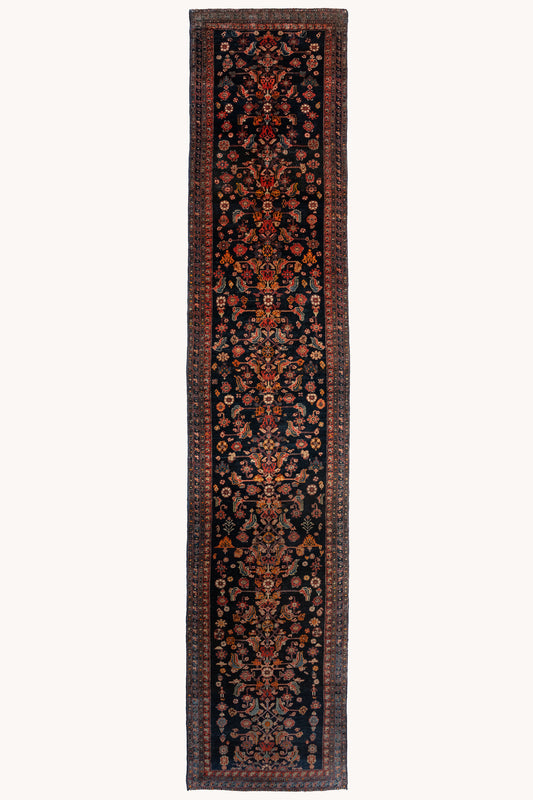 Priscilla | 3'5 x 16'