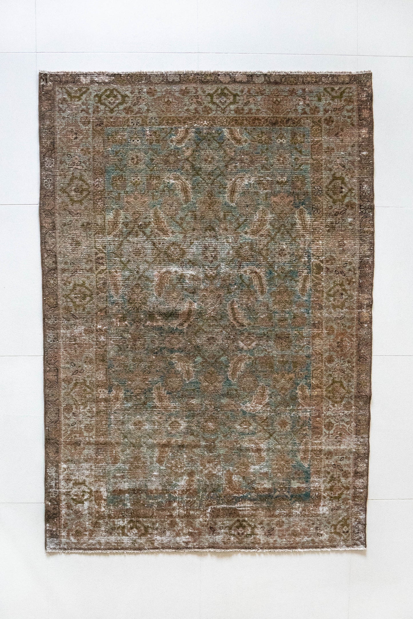 Lenora | 4'1 x 6'3