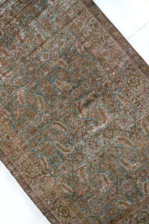 Lenora | 4'1 x 6'3