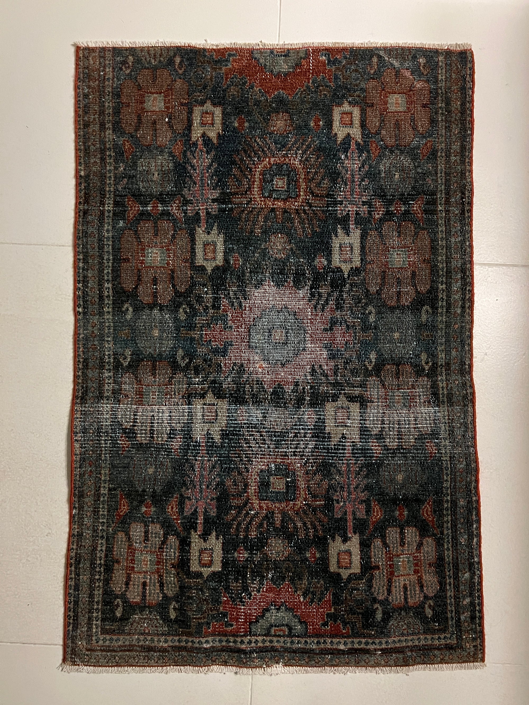 Presale persian tiny